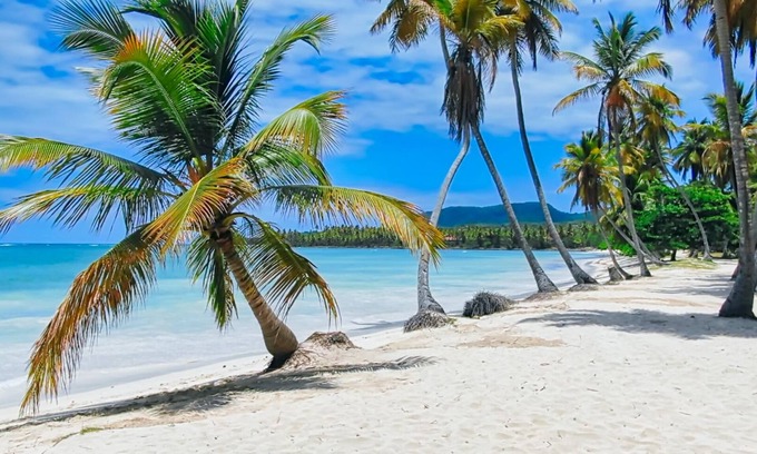 Las Galeras Hotel | Paradiso del Caribe