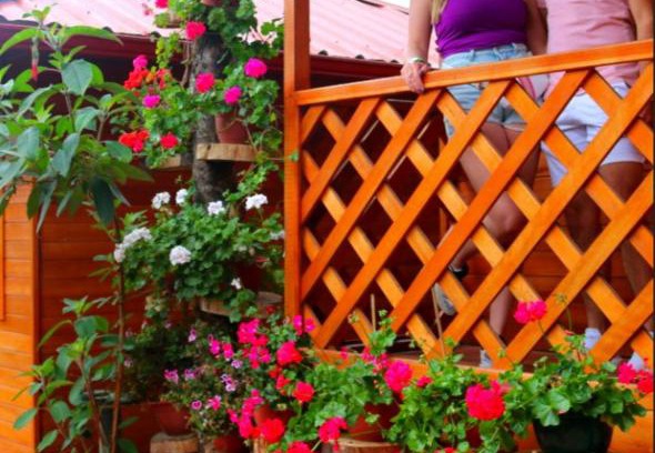 Banos de Agua Santa Bed & Breakfast | Paraiso Orquideario