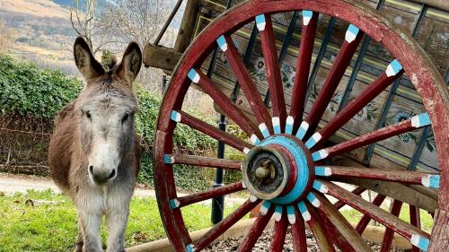 Vallejera de Riofrio House | Paraje Sanchazurra