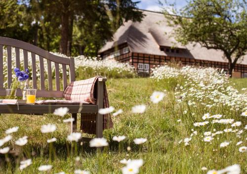 Muritz Hotel | Park am See x Nattika Ayurveda, HOTEL HEALTH SPIRIT