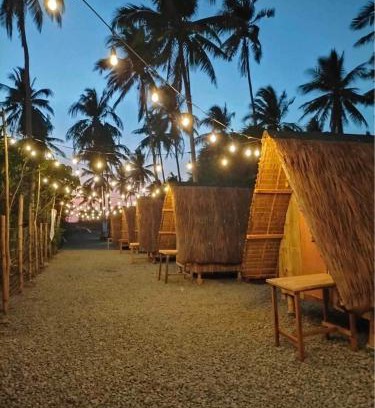 Patar Bed & Breakfast | Patar Palms