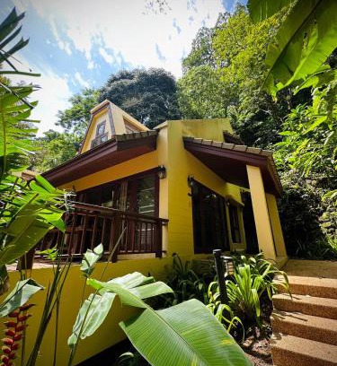 Patong House | Patong Beach森林屋111