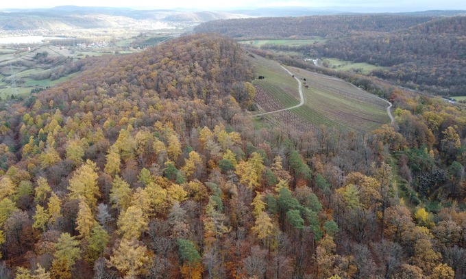 Rauhenebrach Apartment | Pausenhof "zweite-heimat" #wiese