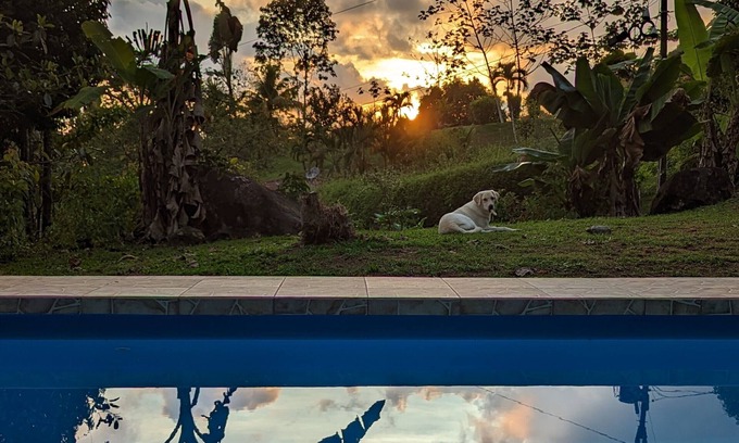 Ballena House | Peaceful jungle retreat close to beaches, activities and restaurants