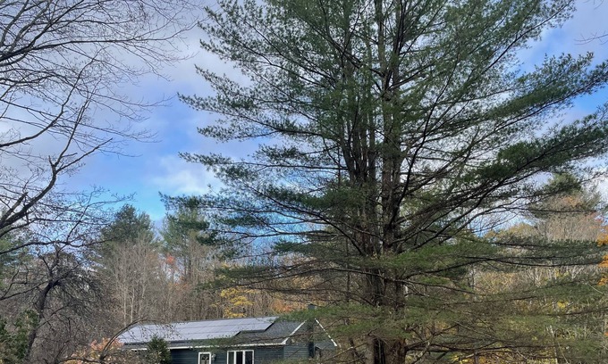 Peru House | Peaceful modern retreat with woods and fire-pit π² π² Family friendly π² π²