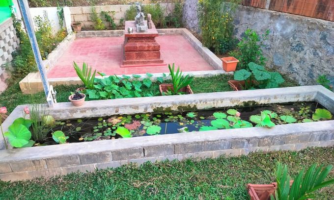 Mannarkkad Bed & Breakfast | Peaceful room for a family in scenic Attapadi 15 minutes from Silent Valley