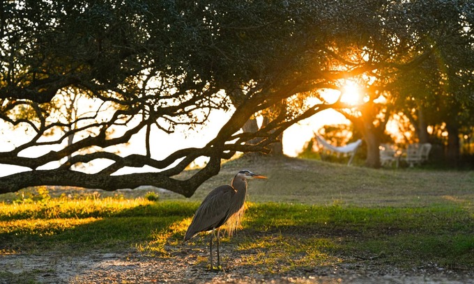 Navarre Cottage | Peaceful Waterfront Cottage