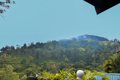 Kumbalwela Bed & Breakfast | Pearl Vista Ella