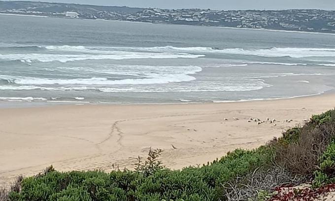 Keurboomstrand House | Pearly Beach House