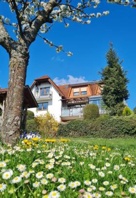 Bad Bocklet Apartment | Pension Höchemer