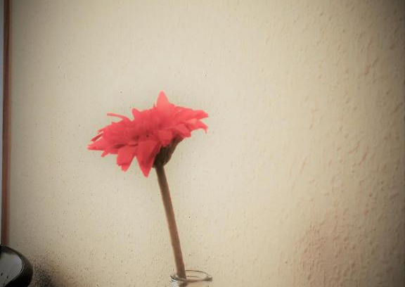 Burgos House | Pension Santiago