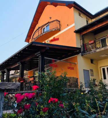 Borsa House | Pensiunea Montana Borșa MM