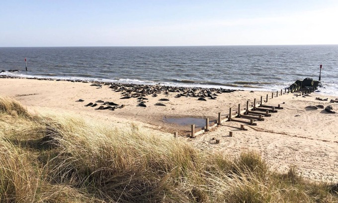 Winterton-on-Sea Cottage | Perfect for families and couples alike, with a short walk to the lovely sandy beach.