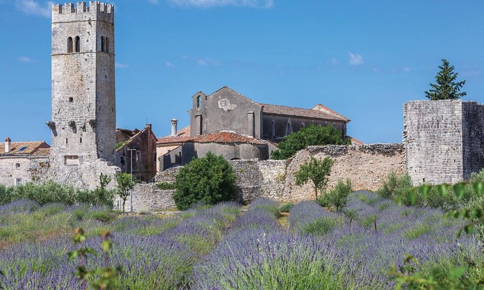 Kruncici Apartment | Pet friendly apartment in Sv.Lovrec with WiFi