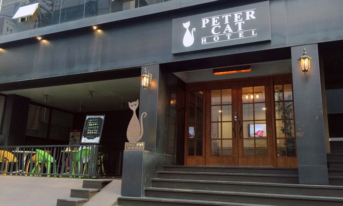 Daeheung-dong Hotel | Petercat Hotel Sinchon(Hongdae)