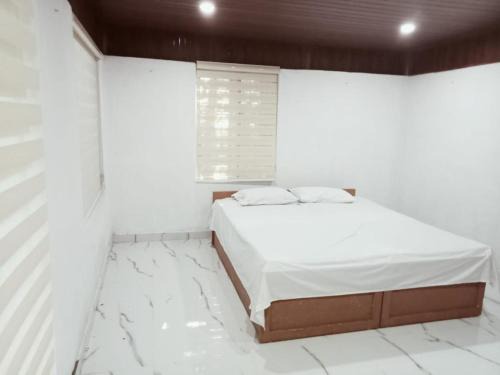 Alwaye House | PETERCOTTAGE HOMESTAY
