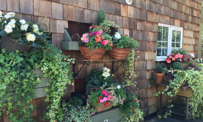 St Leonards Bed & Breakfast | Petherton Cottage Studios