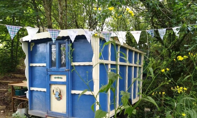Callington Cabin | Pilgrims Shepherd's Hut - Goosewell Glynn Glamping