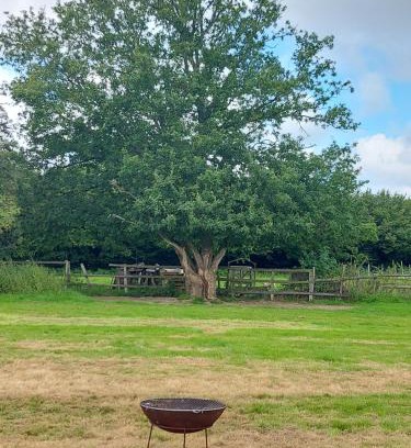 Wadhurst Other | Pitch your own tent on camp field at Hopgarden Camping TN5 6QX - NO BEDS INCLUDED