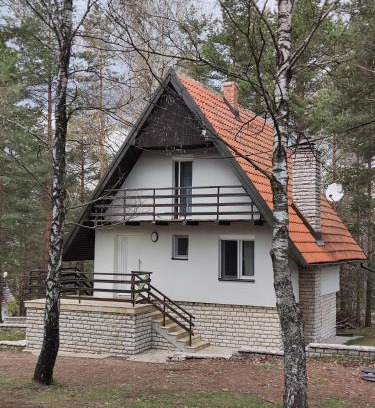 Divcibare House | PLANINSKA VILA SMIGIC