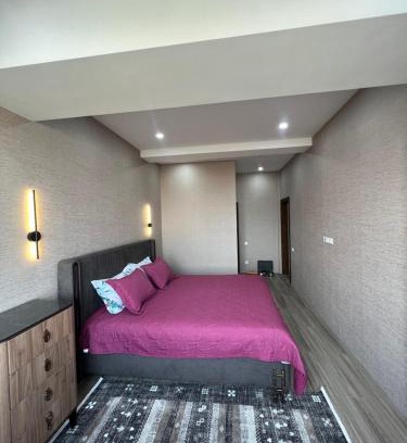 Bishkek Apartment | Platinum