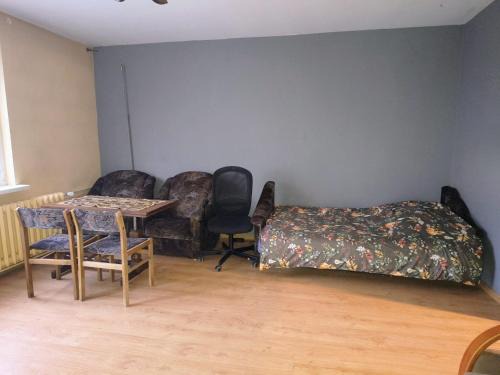 Konin Apartment | Pleasant apartament im center low price