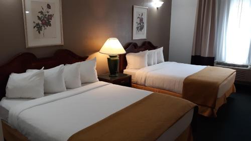 Newberry Hotel | Pleasant Moose Lodge