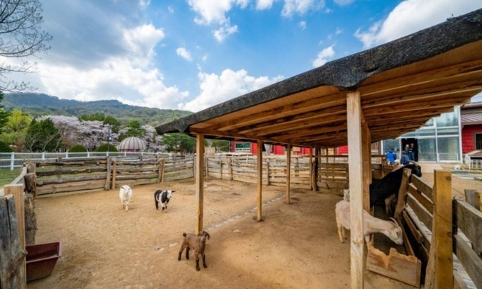 Pocheon House | Pocheon Seoundongsan Pension