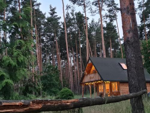 gmina Miedzno House | Pod Czarnym Dzięciołem - dom z widokiem i prywatną balią