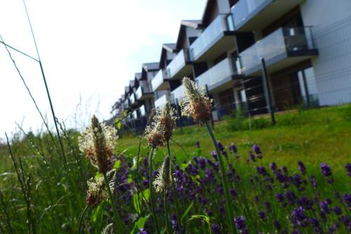 Wyspa Sobieszewska Apartment | Pod Trzynastką