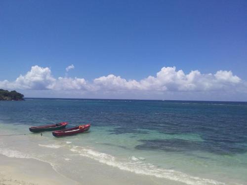 Port Antonio Bed & Breakfast | Port Antonio Brian's Beach House