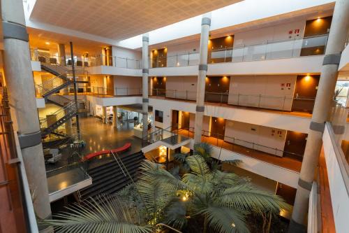 Elche Hotel | Port Elche