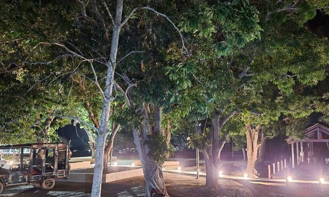 Pocone Hotel | Porto Jofre Pantanal