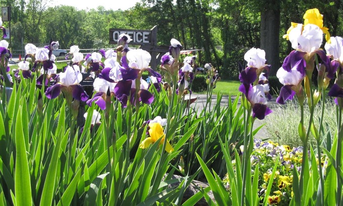 Hancock Hotel | Potomac River Motel