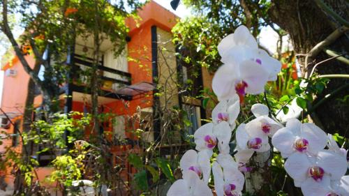 Cabo Frio House | Pousada Casa Di Gaya Guesthouse