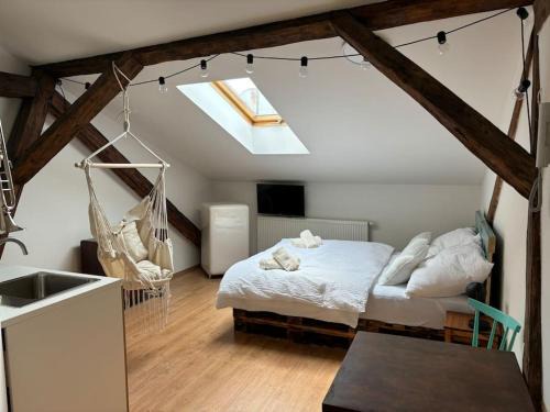 Zilina Apartment | Povala s parkovaním staré mesto