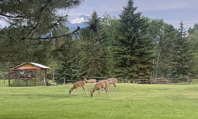 Stevensville House | Private, 2 bedroom Guest House, Unit A.