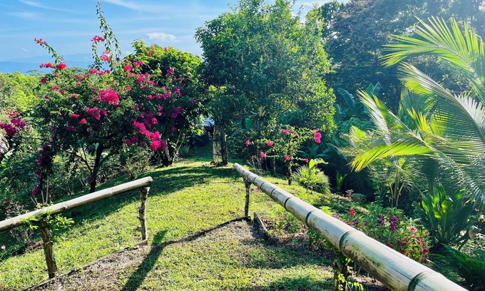 Puerto Jimenez Cabin | Private cabin with stunning views & home-cooked meals