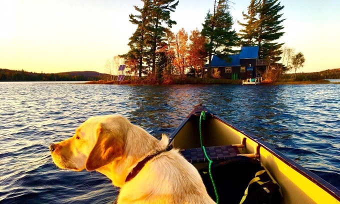 Nipissing Township Cottage | Private Island Retreat - Couples Only - On Kawawaymog Lake near Algonquin Park