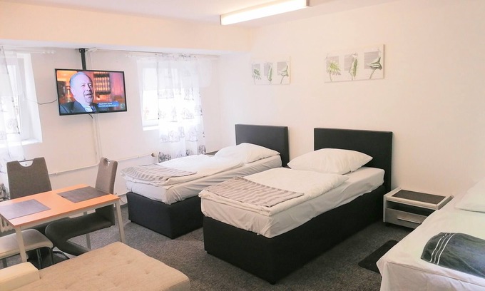 Ruesselsheim House | Private Soutrrian Apartment (R) OpelCity near Frankfurt Airport