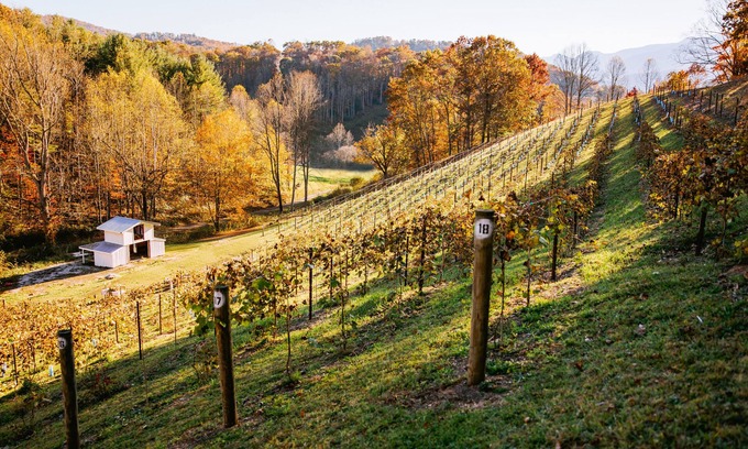 Burnsville House | Private Vineyard Getaway!