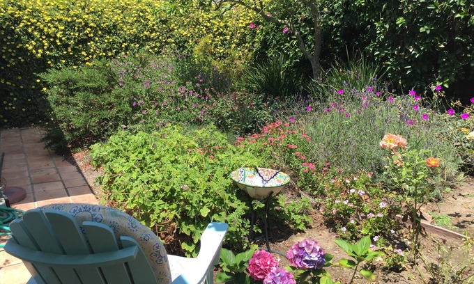 West Mesa House | Private Wing W/Pool, Close to ocean, 2br/2ba, Serene, Surrounded By Garden