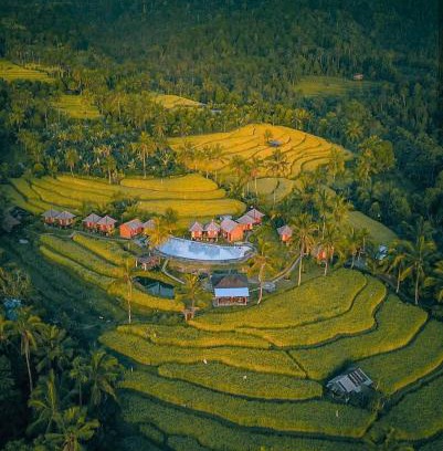 Munduk Cabin | Puri Sunny Camp