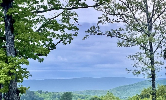 Harrison House | Quiet and secluded modern farmhouse 15 miles from the Buffalo River.