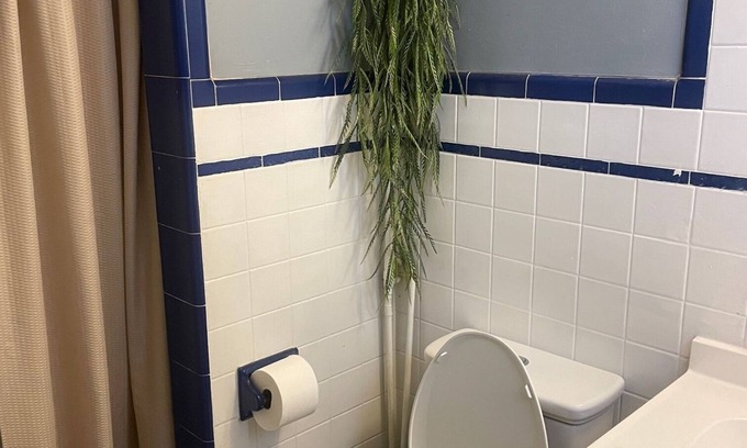 Jacksonville Hotel | Quiet Countryside Hotel room