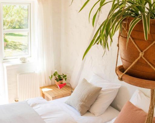 Knebel Bed & Breakfast | Rødegaard Mols