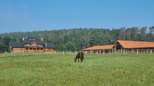 Bus House | Ranči v Buši - pokoj ve srubu