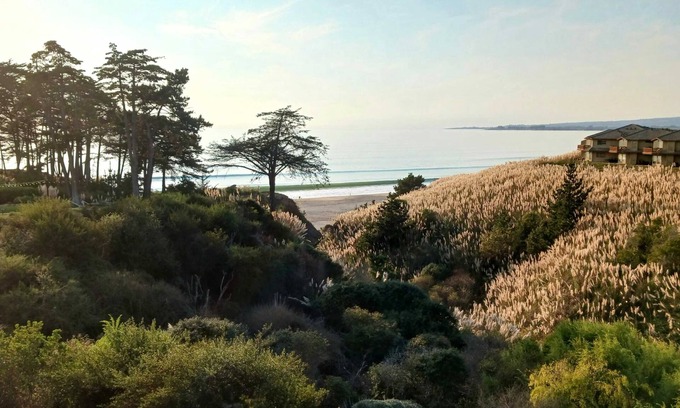 Rio del Mar Condo | Rare Oceanview Studio Seascape Resort!