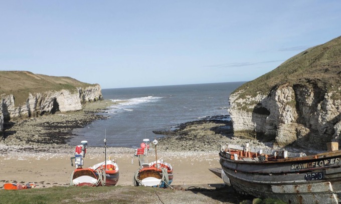 Flamborough Cottage | Razorbill