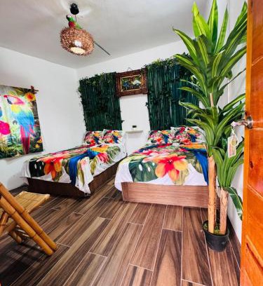 Playa Chachalacas Hotel | Refugio de las Aves